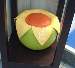DSC00137.jpg