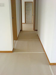 DSC00139.jpg