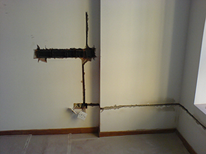 study wire works 2