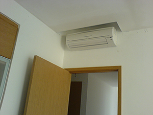 DSC00161.jpg