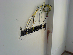 DSC00165.jpg