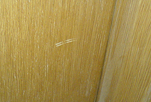 DSC00175closeup.jpg
