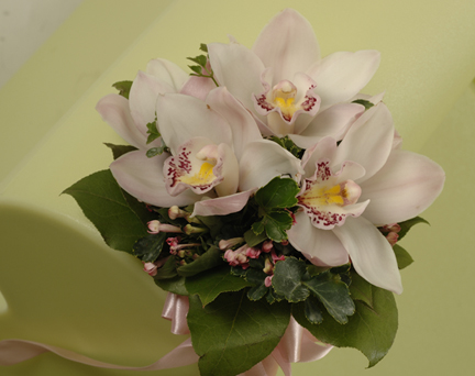 cymbidiums2.jpg