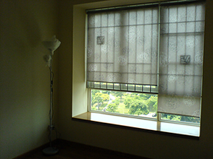 DSC00345.jpg