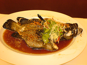 DSC00391.jpg