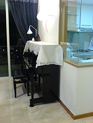 DSC00411.jpg