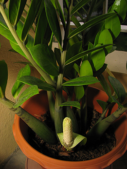 20071108-S5_0062.jpg